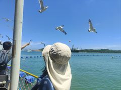 -海驴岛(荣成市)