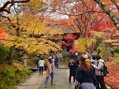 -常寂光寺