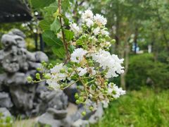 -江湾公园