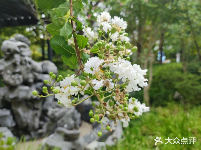 江湾公园图片