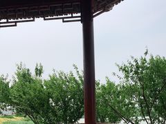 -天津东丽湖风景区