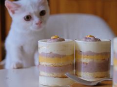 -猫咖时代(中山亭店)