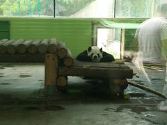 -石家庄市动物园