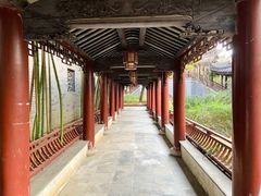 -龙潭水乡