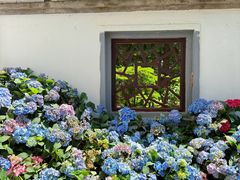 -沈阳植物园