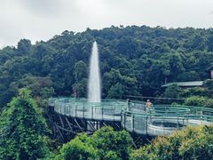 -海南槟榔谷黎苗文化旅游区