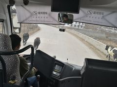 -太子岭滑雪场
