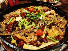 老板恋上鱼-老板恋上鱼(高新万达店)