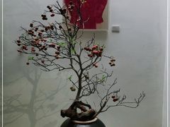 -曲廊院(东四十一条店)