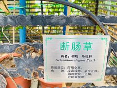 -广州神农草堂中医药博物馆