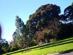 -墨尔本皇家植物园