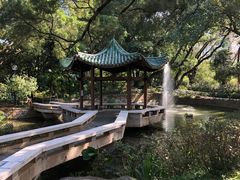 -九龙公园