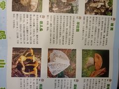 -太婆天府山珍酒楼(亚运村店)