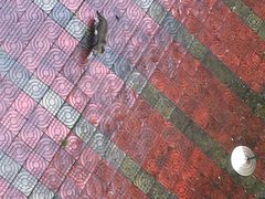 -井冈山风景名胜区-黄洋界