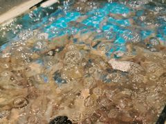 -星伦多自助料理(江阴万达店)