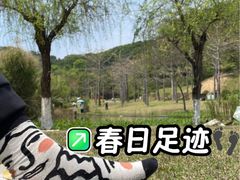 -飞凤山奥体公园