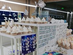 -青岛贝壳博物馆
