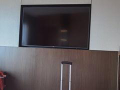 -新加坡瑞士史丹福酒店