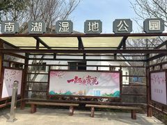 -南湖湿地公园