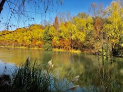 -昆山城市生态森林公园