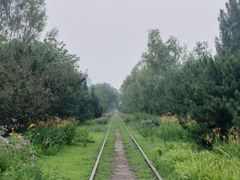 -永定河休闲森林公园