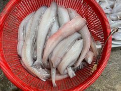-朝陽市場