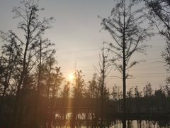 -昆山城市生态森林公园