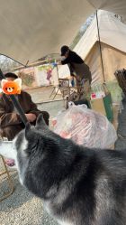 -268童话露营农场·烧烤·团建
