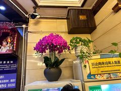 -山城年华老火锅(玉林店)