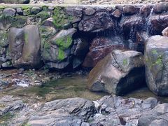 -天目山大树王景区