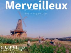 -小海土菜馆(振容路店)