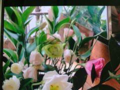 -美丽心情蛋糕(江苏路店)