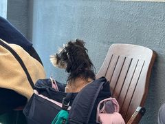 -Tequila Espresso(嘉善路店)