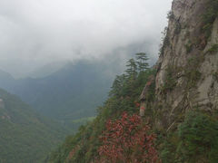 android_upload_pic-大明山自然探索公园