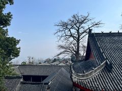 -金堂县云顶石城风景区