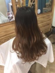 -渼树MSUTREE连锁沙龙