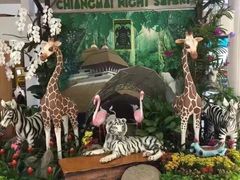 -清迈夜间动物园