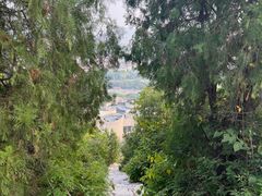 -府君山公园