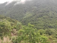 -梧桐山风景名胜区