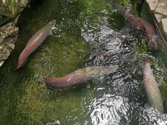 -青青世界