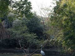 -上海野生动物园
