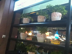 android_upload_pic-鱼侦炭烤鱼烤鸭主题餐厅(南湖北路店)