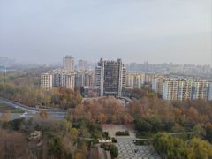 -金狮国际酒店自助餐(金狮店)