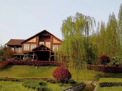 -金岛生态园烧烤露营地