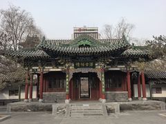-迎泽公园