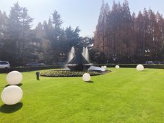 -棕榈岛海鲜自助餐厅(虹桥迎宾馆店)