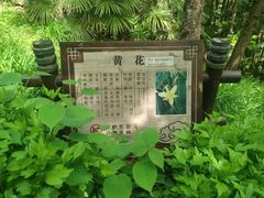 -神农架景区