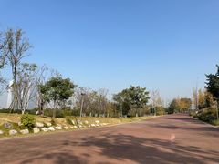 -桂溪生态公园