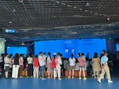 -海合安成都极地海洋公园