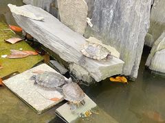 -上海东林寺(金山区)